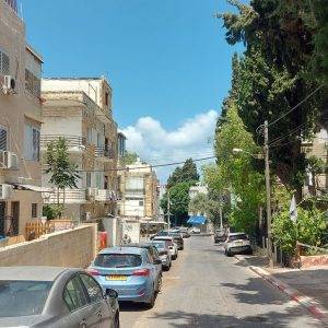 הדר, עמק הזיתים