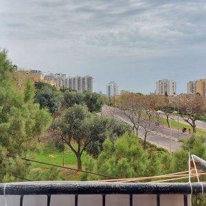 שפרינצק , דוד בר הרב האי